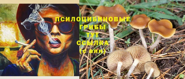 винт Беломорск
