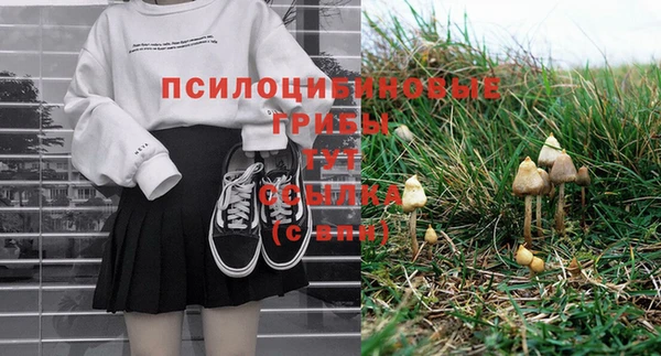 прущая мука Белокуриха
